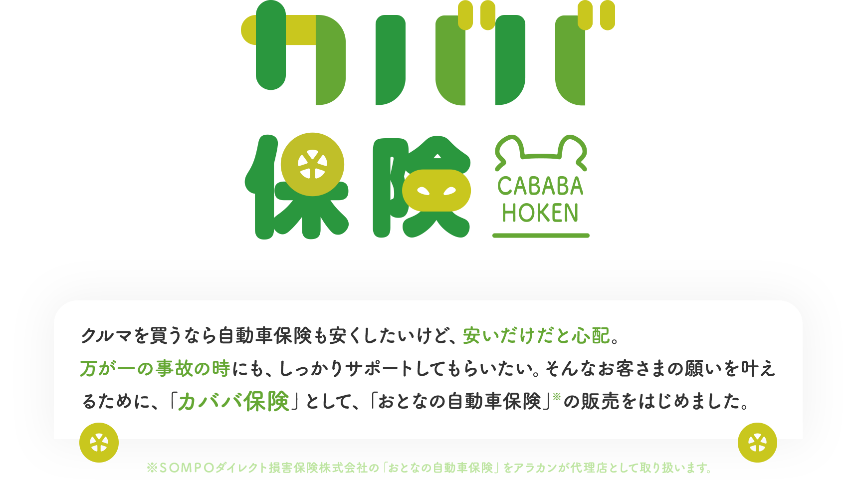 カババ保険