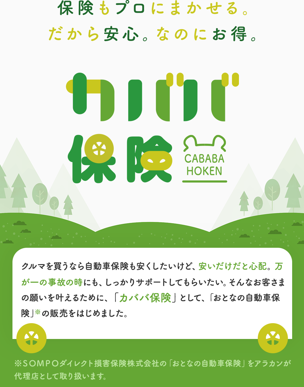 カババ保険