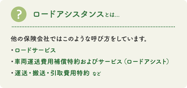 カババ保険