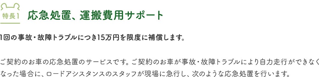 カババ保険
