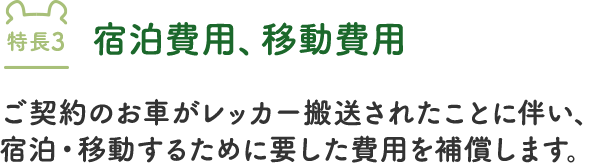 カババ保険