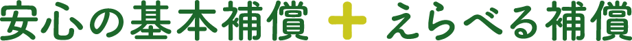 カババ保険